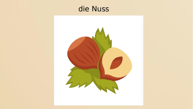 die Nuss 