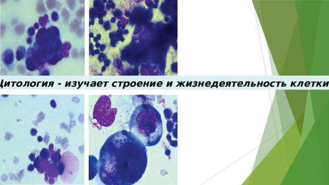 Цитология - изучает строение и жизнедеятельность клетки 