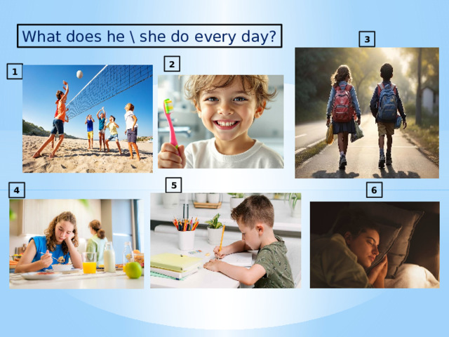 What does he \ she do every day? 3 2 1 2 5 6 4 
