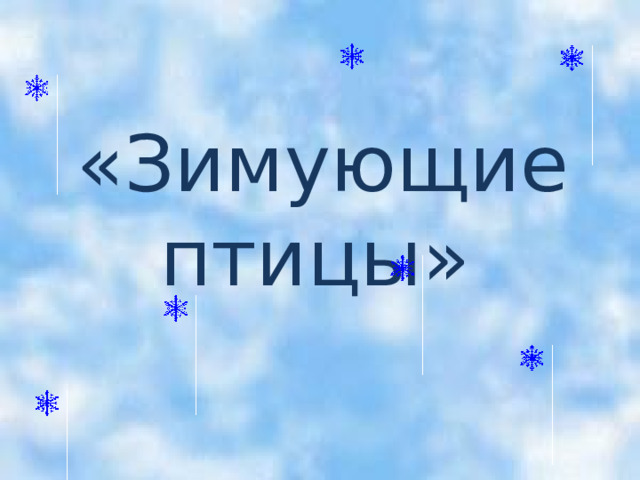    «Зимующие птицы» 