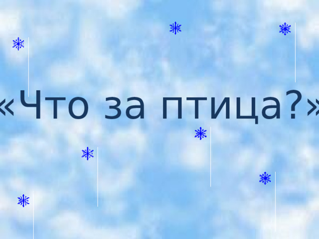    «Что за птица?» 