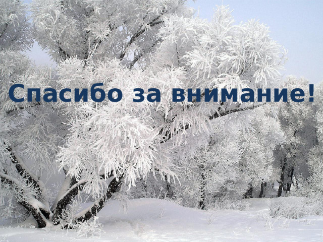 Спасибо за внимание! 