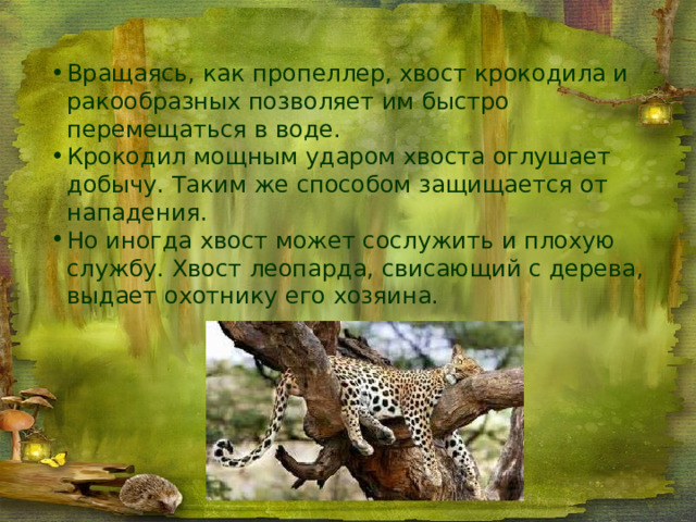 Вращаясь, как пропеллер, хвост крокодила и ракообразных позволяет им быстро перемещаться в воде. Крокодил мощным ударом хвоста оглушает добычу. Таким же способом защищается от нападения. Но иногда хвост может сослужить и плохую службу. Хвост леопарда, свисающий с дерева, выдает охотнику его хозяина. 
