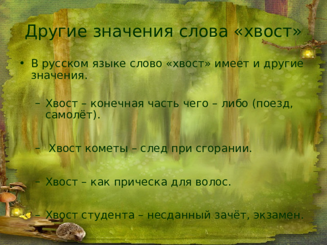 Другие значения слова «хвост» В русском языке слово «хвост» имеет и другие значения. Хвост – конечная часть чего – либо (поезд, самолёт). Хвост – конечная часть чего – либо (поезд, самолёт).  Хвост кометы – след при сгорании.  Хвост кометы – след при сгорании. Хвост – как прическа для волос. Хвост – как прическа для волос. Хвост студента – несданный зачёт, экзамен. Хвост студента – несданный зачёт, экзамен. 