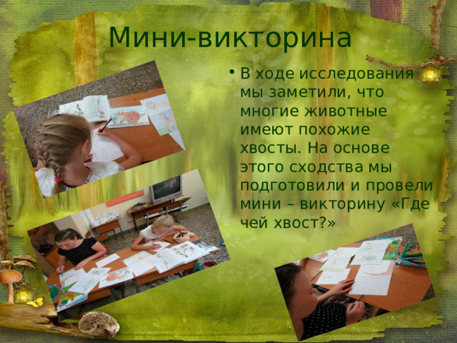 Мини-викторина В ходе исследования мы заметили, что многие животные имеют похожие хвосты. На основе этого сходства мы подготовили и провели мини – викторину «Где чей хвост?» 