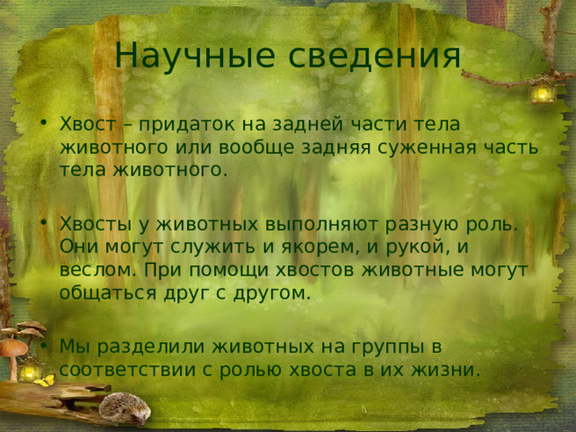 Научные сведения Хвост – придаток на задней части тела животного или вообще задняя суженная часть тела животного. Хвосты у животных выполняют разную роль. Они могут служить и якорем, и рукой, и веслом. При помощи хвостов животные могут общаться друг с другом. Мы разделили животных на группы в соответствии с ролью хвоста в их жизни. 