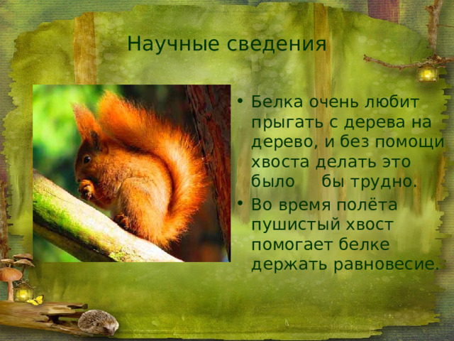 Научные сведения Белка очень любит прыгать с дерева на дерево, и без помощи хвоста делать это было бы трудно. Во время полёта пушистый хвост помогает белке держать равновесие. 