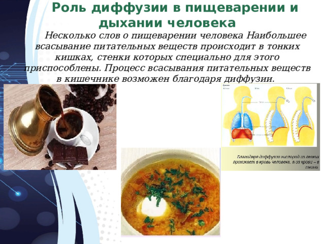 Роль диффузии в пищеварении и дыхании человека Несколько слов о пищеварении человека Наибольшее всасывание питательных веществ происходит в тонких кишках, стенки которых специально для этого приспособлены. Процесс всасывания питательных веществ в кишечнике возможен благодаря диффузии. 