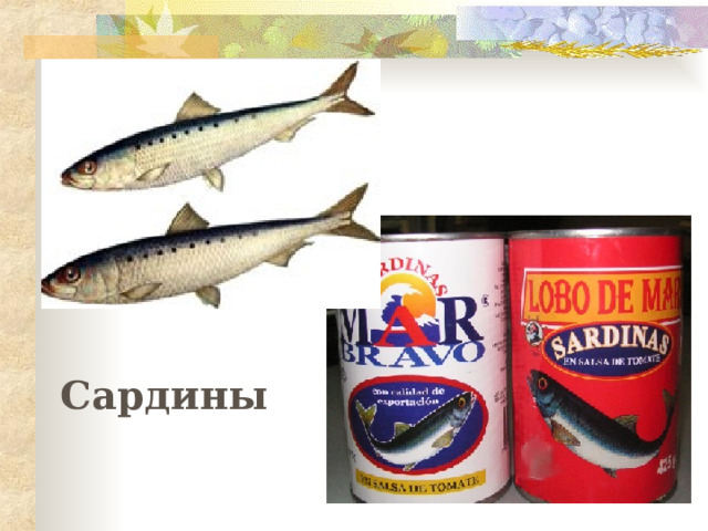 Сардины 