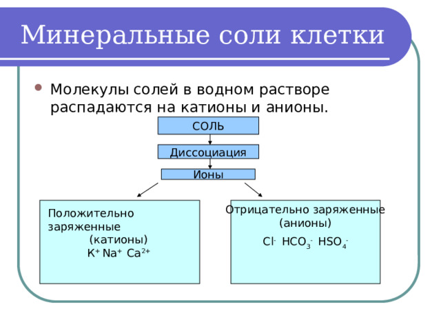 Минеральные соли клетки Молекулы солей в водном растворе распадаются на катионы и анионы. СОЛЬ Диссоциация Ионы Сl - HCO 3 - HSO 4 - Отрицательно заряженные (анионы) Положительно заряженные (катионы) К + Na + Ca 2+ 