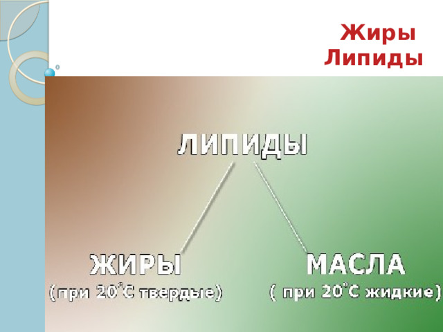 Жиры  Липиды 
