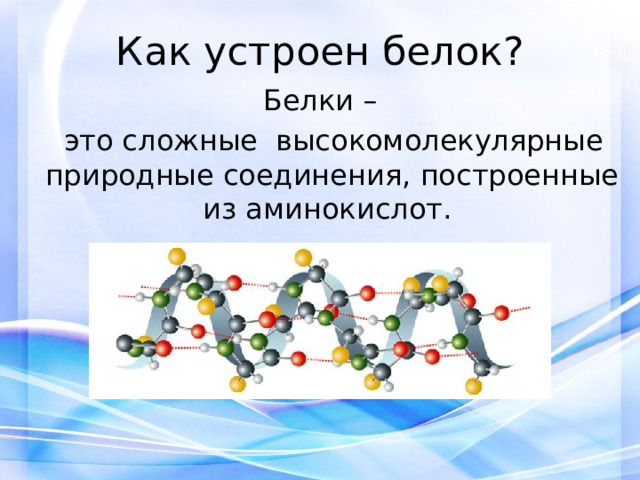Как устроен белок?  Белки –  это сложные высокомолекулярные природные соединения, построенные из аминокислот. 