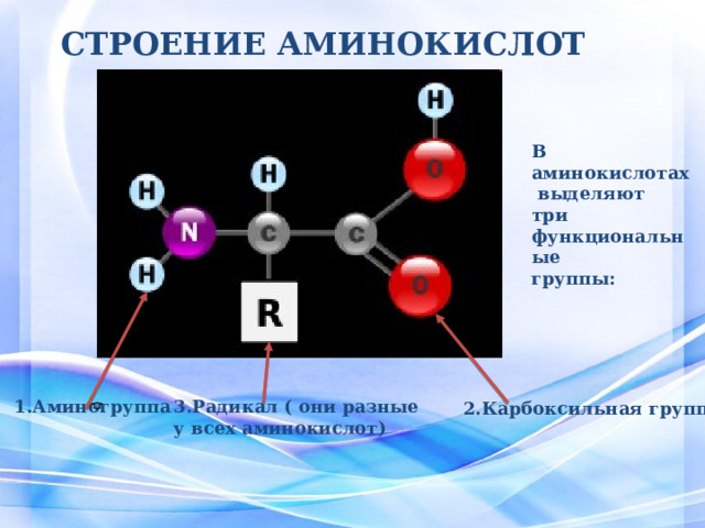 СТРОЕНИЕ АМИНОКИСЛОТ В аминокислотах  выделяют три функциональные группы: 1.Аминогруппа 3.Радикал ( они разные  у всех аминокислот) 2.Карбоксильная группа 