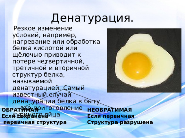 Денатурация.  Резкое изменение условий, например, нагревание или обработка белка кислотой или щёлочью приводит к потере четвертичной, третичной и вторичной структур белка, называемой денатурацией. Самый известный случай денатурации белка в быту — это приготовление куриного яйца ОБРАТИМАЯ НЕОБРАТИМАЯ Если сохранена Если первичная  первичная структура Структура разрушена  