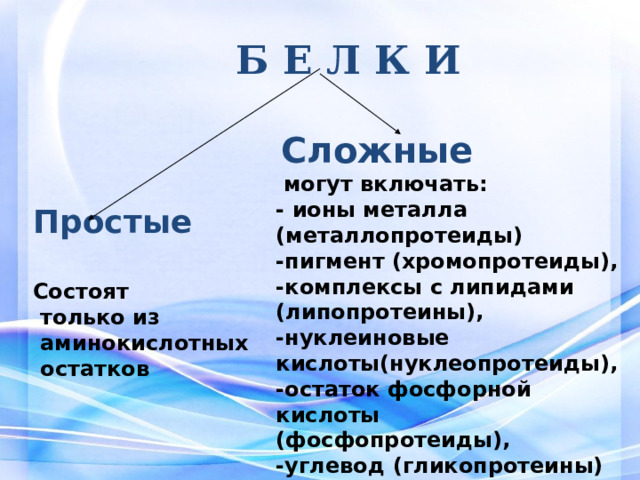 Б Е Л К И  Сложные   могут включать: - ионы металла (металлопротеиды) -пигмент (хромопротеиды), -комплексы с липидами (липопротеины), -нуклеиновые кислоты(нуклеопротеиды), -остаток фосфорной кислоты (фосфопротеиды), -углевод (гликопротеины) Простые  Состоят  только из  аминокислотных  остатков  