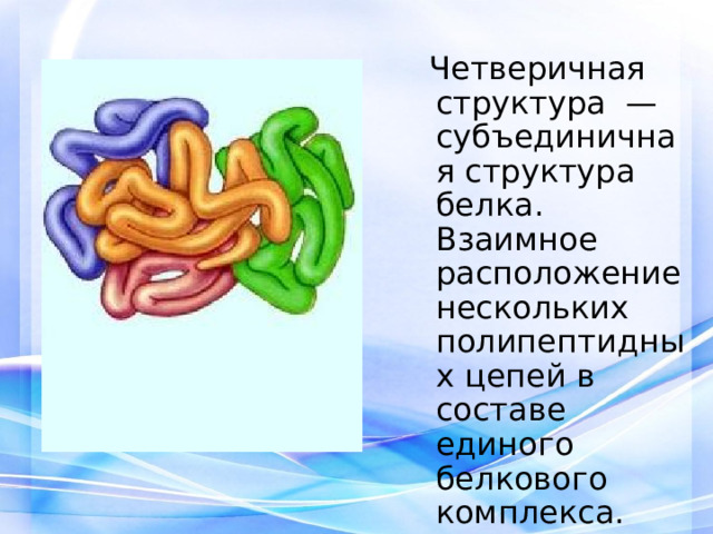  Четверичная структура — субъединичная структура белка. Взаимное расположение нескольких полипептидных цепей в составе единого белкового комплекса. 