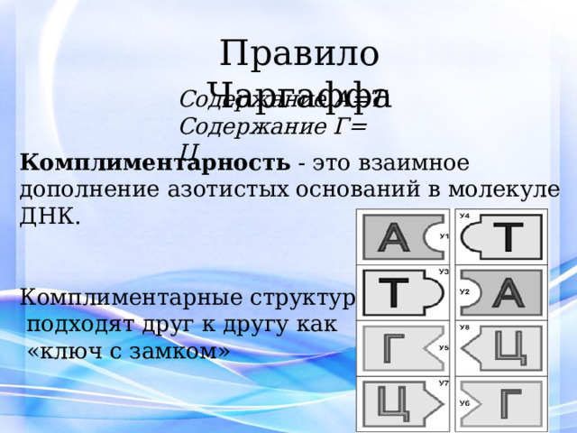 Правило Чаргаффа Содержание А=Т Содержание Г= Ц Комплиментарность - это взаимное дополнение азотистых оснований в молекуле ДНК. Комплиментарные структуры  подходят друг к другу как  «ключ с замком» 