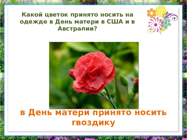 Какой цветок принято носить на одежде в День матери в США и в Австралии? в День матери принято носить гвоздику 