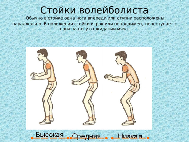 Стойки волейболиста   Обычно в стойке одна нога впереди или ступни расположены параллельно. В положении стойки игрок или неподвижен , переступает с ноги на ногу в ожидании мяча. 