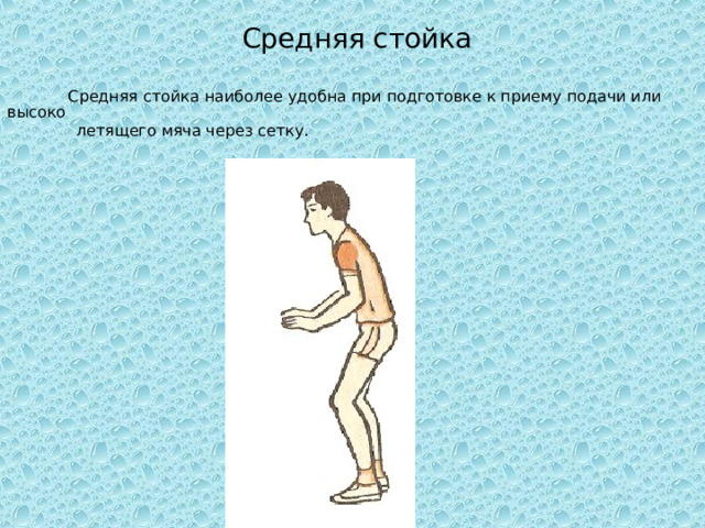  Средняя стойка  Средняя стойка наиболее удобна при подготовке к приему подачи или высоко  летящего мяча через сетку. 