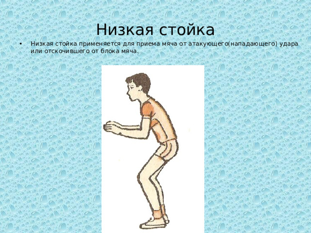 Низкая стойка Низкая стойка применяется для приема мяча от атакующего(нападающего) удара или отскочившего от блока мяча. 