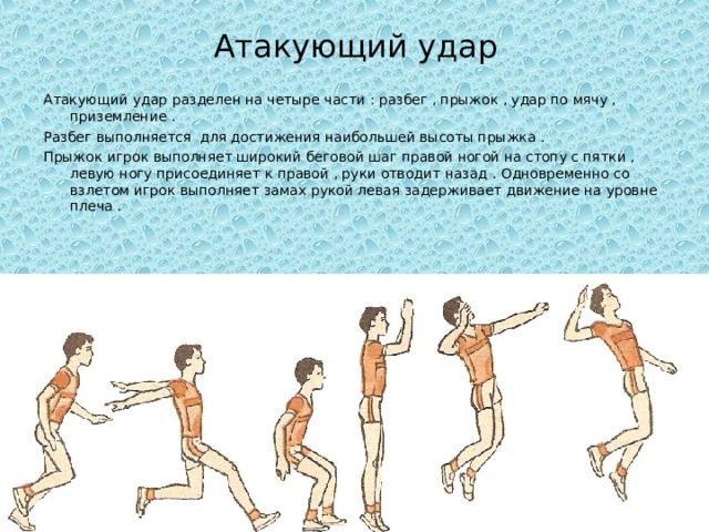 Атакующий удар Атакующий удар разделен на четыре части : разбег , прыжок , удар по мячу , приземление . Разбег выполняется для достижения наибольшей высоты прыжка . Прыжок игрок выполняет широкий беговой шаг правой ногой на стопу с пятки , левую ногу присоединяет к правой , руки отводит назад . Одновременно со взлетом игрок выполняет замах рукой левая задерживает движение на уровне плеча . 