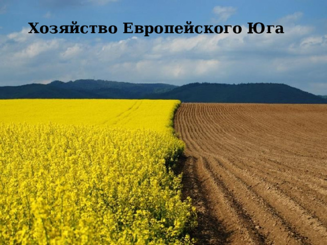 Хозяйство Европейского Юга 