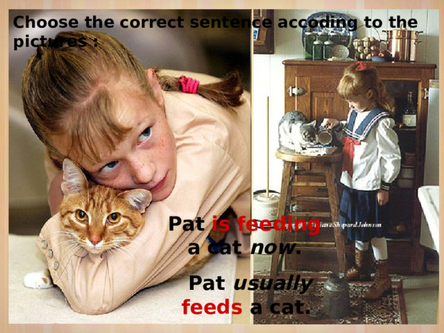 Choose the correct sentence accoding to the pictures : Pat is feeding a cat now .  Pat usually feeds a cat. 