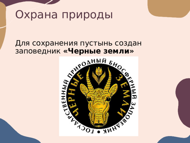 Охрана природы Для сохранения пустынь создан заповедник «Черные земли» 