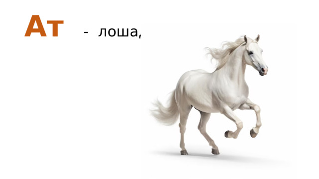 Ат - лошадь 