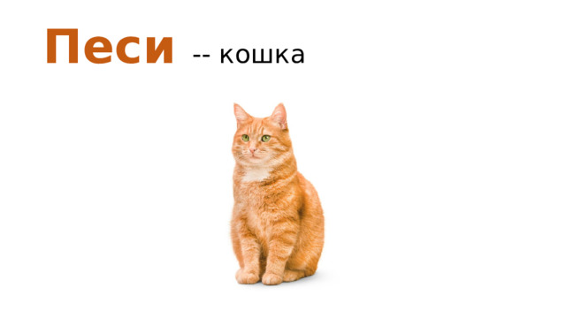Песи -- кошка 