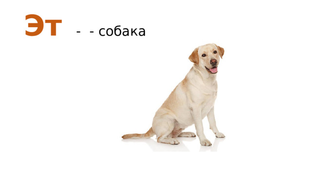 Эт - - собака 