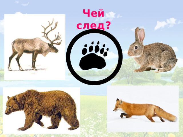 Чей след? 