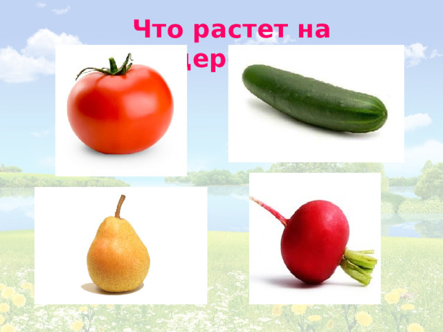 Что растет на дереве? 
