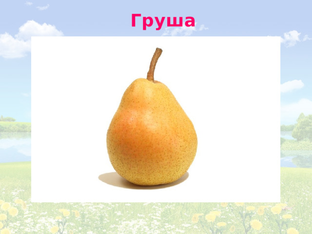 Груша 