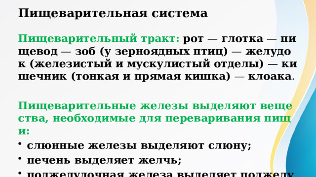 Пищеварительная система Пищеварительный тракт:  рот — глотка — пищевод — зоб (у зерноядных птиц) — желудок (железистый и мускулистый отделы) — кишечник (тонкая и прямая кишка) — клоака . Пищеварительные железы выделяют вещества, необходимые для переваривания пищи: слюнные железы выделяют слюну; печень выделяет желчь; поджелудочная железа выделяет поджелудочный сок.  Пищеварительная система птиц, так же как и других позвоночных животных, представлена пищеварительным трактом и железами. 