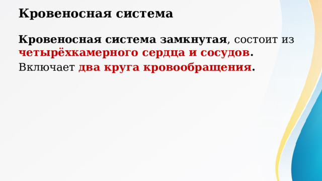 Кровеносная система Кровеносная система замкнутая , состоит из четырёхкамерного сердца и сосудов .  Включает два круга кровообращения . 