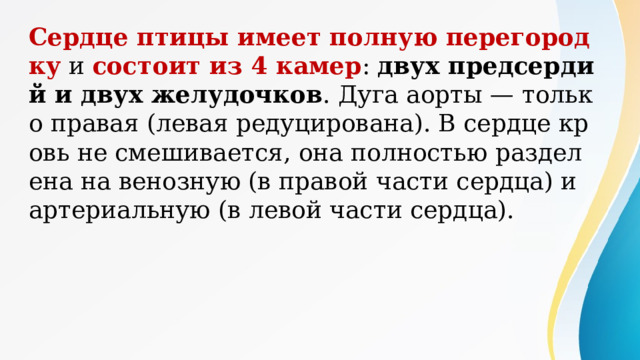 Сердце птицы имеет полную перегородку и состоит из 4 камер : двух предсердий и двух желудочков . Дуга аорты — только правая (левая редуцирована). В сердце кровь не смешивается, она полностью разделена на венозную (в правой части сердца) и артериальную (в левой части сердца). Сердце птицы имеет полную перегородку и состоит из 4 камер : двух предсердий и двух желудочков . Дуга аорты — только правая (левая редуцирована). В сердце кровь не смешивается, она полностью разделена на венозную (в правой части сердца) и артериальную (в левой части сердца). 