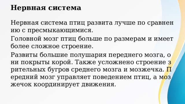 Нервная система Нервная система птиц развита лучше по сравнению с пресмыкающимися. Головной мозг птиц больше по размерам и имеет более сложное строение. Развиты большие полушария переднего мозга, они покрыты корой. Также усложнено строение зрительных бугров среднего мозга и мозжечка. Передний мозг управляет поведением птиц, а мозжечок координирует движения. 