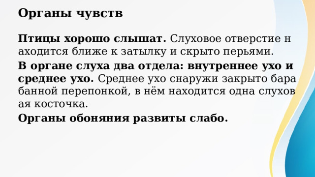 Органы чувств Птицы хорошо слышат. Слуховое отверстие находится ближе к затылку и скрыто перьями. В органе слуха два отдела: внутреннее ухо и среднее ухо. Среднее ухо снаружи закрыто барабанной перепонкой, в нём находится одна слуховая косточка. Органы обоняния развиты слабо. Органы обоняния у птиц расположены в задней части носовой полости и включают обонятельный эпителий с рецепторными клетками, передающими сигналы в головной мозг. Хотя у большинства видов обоняние развито слабее, чем зрение и слух, у некоторых групп (грифы, киви, морские птицы) оно развито отлично и используется для поиска пищи, ориентации и общения. 
