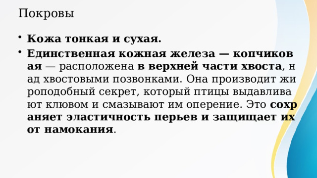Покровы Кожа тонкая и сухая. Единственная кожная железа — копчиковая — расположена в верхней части хвоста , над хвостовыми позвонками. Она производит жироподобный секрет, который птицы выдавливают клювом и смазывают им оперение. Это сохраняет эластичность перьев и защищает их от намокания . кожные железы отсутствуют 
