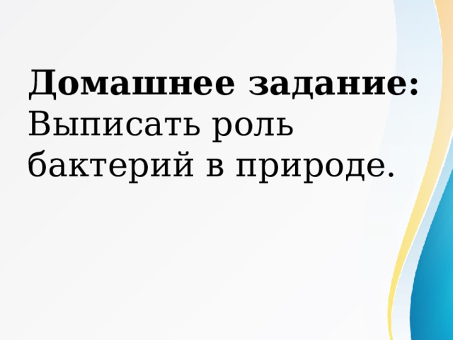 Домашнее задание: Выписать роль бактерий в природе. 