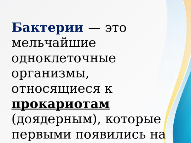 Бактерии  — это мельчайшие одноклеточные организмы, относящиеся к прокариотам (доядерным), которые первыми появились на Земле. 