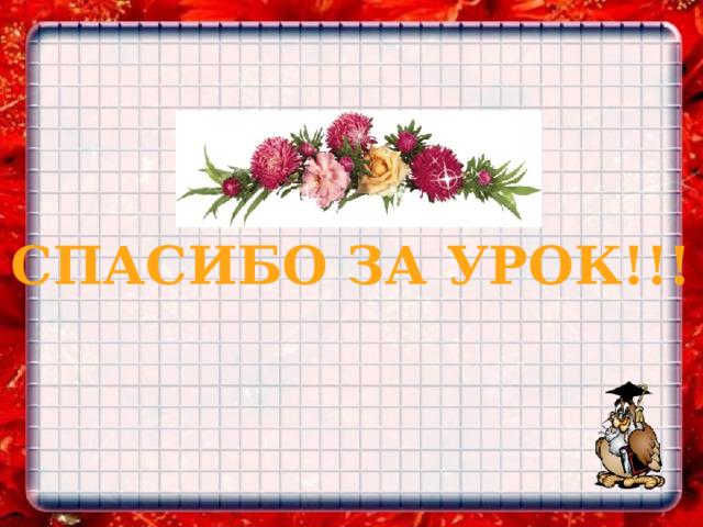 Bcg СПАСИБО ЗА УРОК!!! 