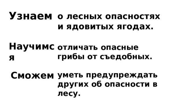 Узнаем о лесных опасностях и ядовитых ягодах. Научимся отличать опасные грибы от съедобных. Сможем уметь предупреждать других об опасности в лесу. 