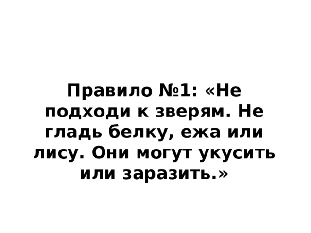 Правило №1: «Не подходи к зверям. Не гладь белку, ежа или лису. Они могут укусить или заразить.» 