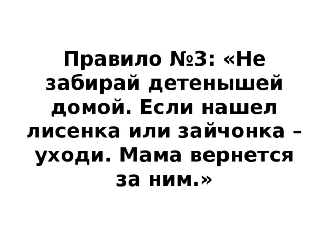 Правило №3: «Не забирай детенышей домой. Если нашел лисенка или зайчонка – уходи. Мама вернется за ним.» 