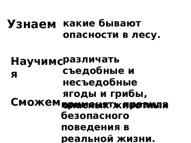 Узнаем какие бывают опасности в лесу. различать съедобные и несъедобные ягоды и грибы, опасных животных Научимся Сможем применять правила безопасного поведения в реальной жизни. 