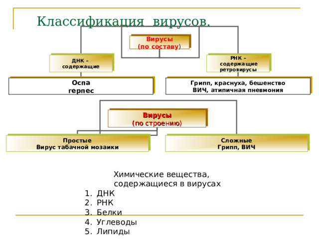 Классификация вирусов. Вирусы (по составу ) ДНК – содержащие РНК –  содержащие ретровирусы Оспа герпес Грипп, краснуха, бешенство ВИЧ, атипичная пневмония Вирусы (по строению) Простые Вирус табачной мозаики Сложные Грипп, ВИЧ Химические вещества, содержащиеся в вирусах ДНК РНК Белки Углеводы Липиды 
