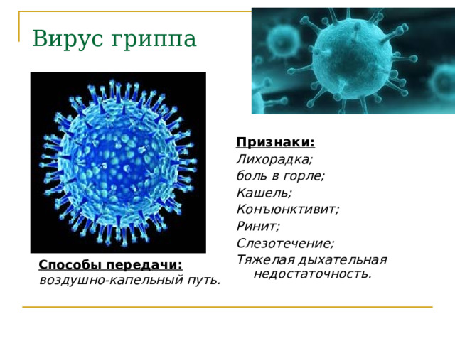 Вирус гриппа Признаки: Лихорадка; боль в горле; Кашель; Конъюнктивит; Ринит; Слезотечение; Тяжелая дыхательная недостаточность.   Способы передачи: воздушно-капельный путь. 